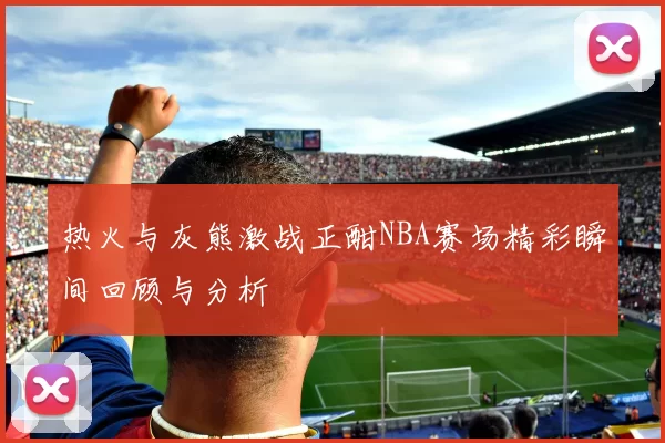 热火与灰熊激战正酣NBA赛场精彩瞬间回顾与分析