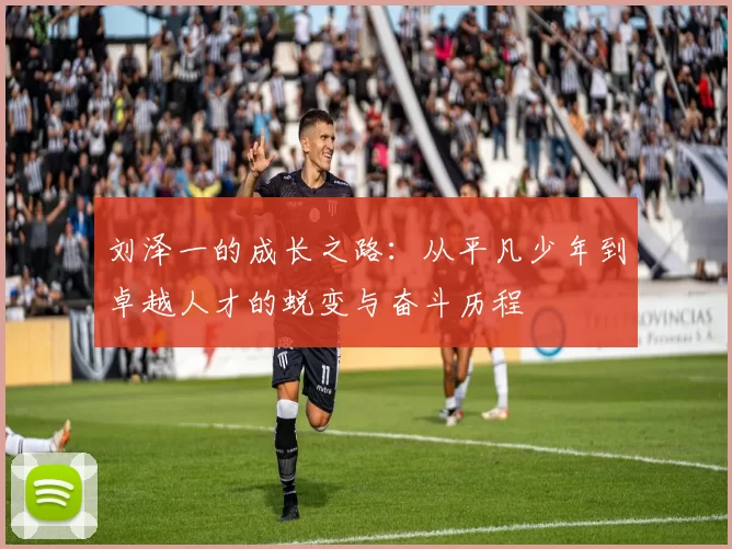 刘泽一的成长之路：从平凡少年到卓越人才的蜕变与奋斗历程