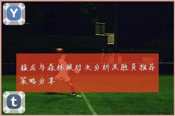 猛龙与森林狼对决分析及胜负推荐策略分享