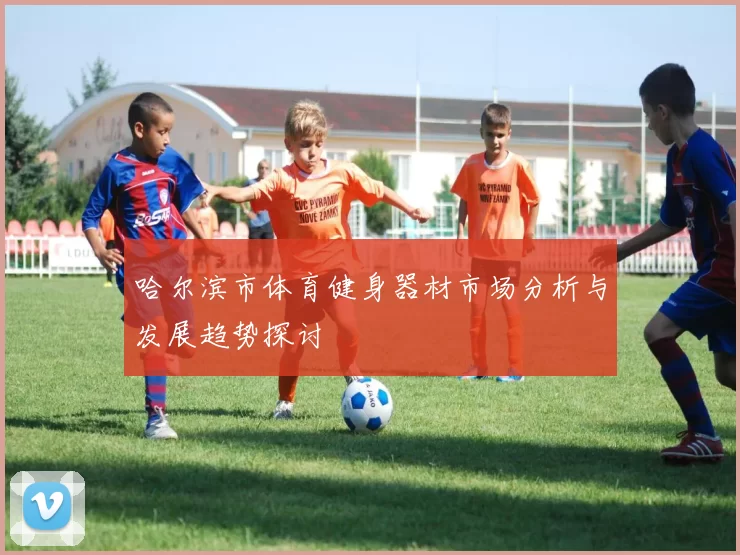 哈尔滨市体育健身器材市场分析与发展趋势探讨